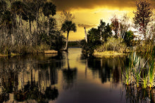 Load image into Gallery viewer, Sunset on the Blue Cypress
