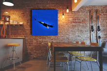 Load image into Gallery viewer, In Flight
