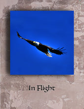 Load image into Gallery viewer, In Flight
