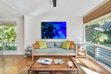 Load image into Gallery viewer, Swimming with Yellowtails
