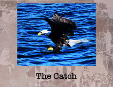Load image into Gallery viewer, The Catch
