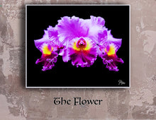 Load image into Gallery viewer, The Flower (Limited Edition)
